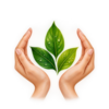eco friendly2